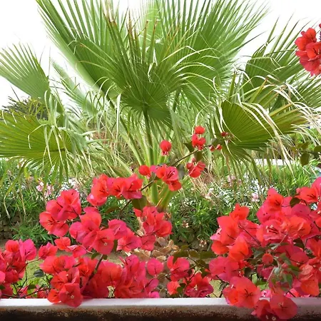 Chalet Para 6 En San Lluis Menorca Holiday home Sant Lluis